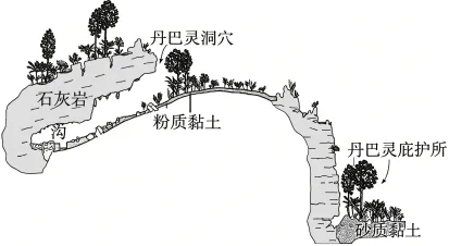 题目插图