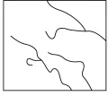 选项图