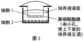 题目插图