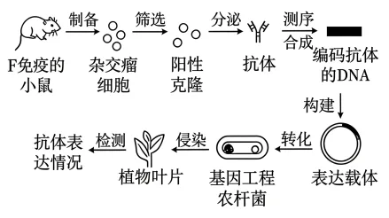 题目插图