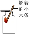 选项图