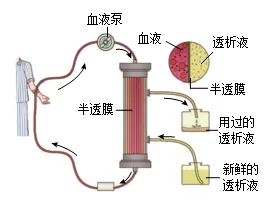 题目插图