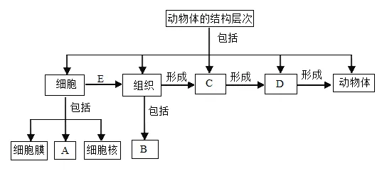题目插图