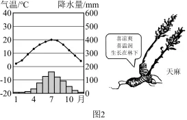 题目插图