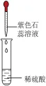 选项图