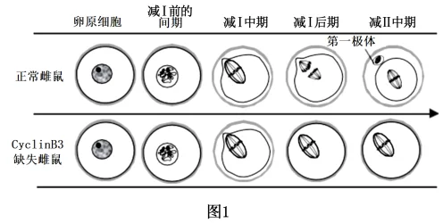 题目插图