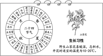 题目插图