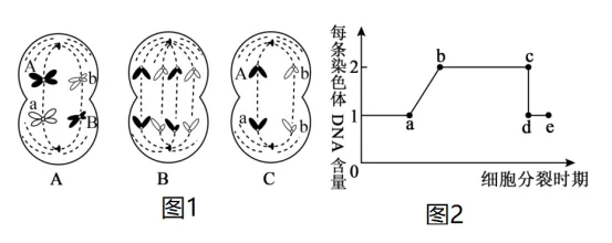 题目插图