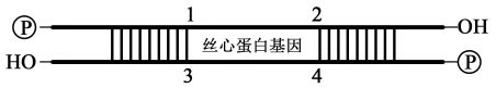 题目插图