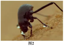 题目插图