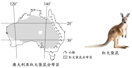 题目插图