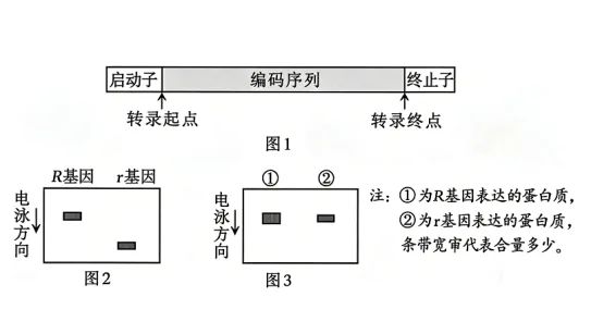 题目插图