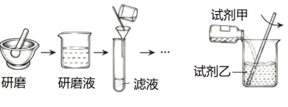 题目插图