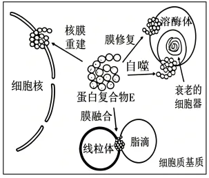 题目插图