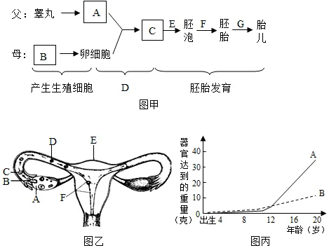 题目插图