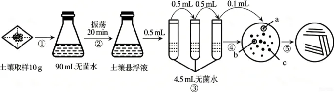 题目插图
