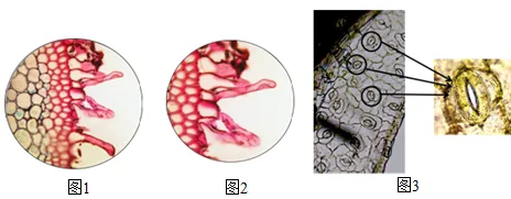 题目插图