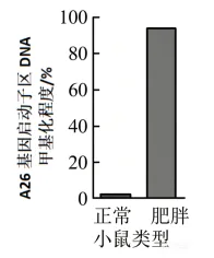 题目插图