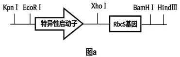 题目插图