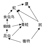 题目插图