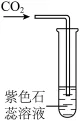 选项图
