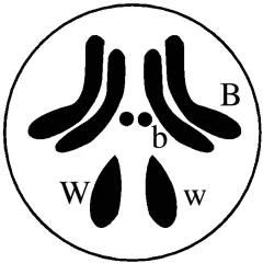 题目插图