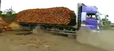 题目插图