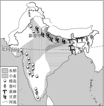 题目插图