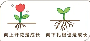 题目插图