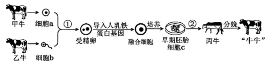 题目插图