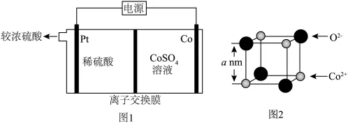 题目插图