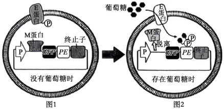 题目插图