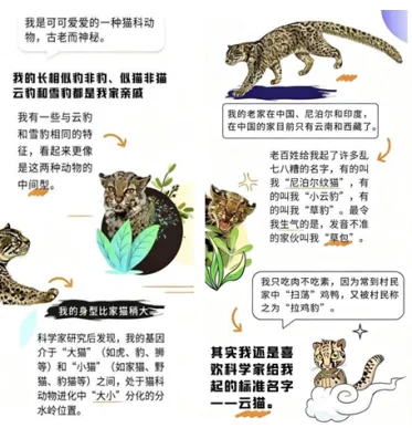 题目插图