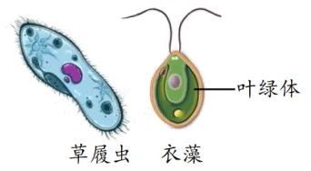 题目插图