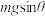 选项图