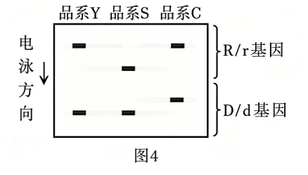 题目插图