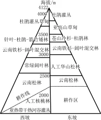 题目插图