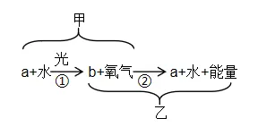 题目插图