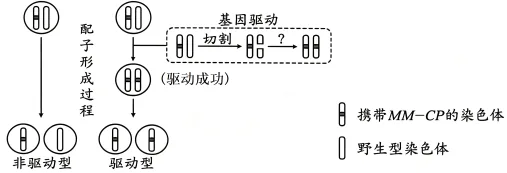 题目插图