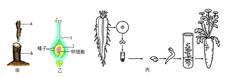 题目插图