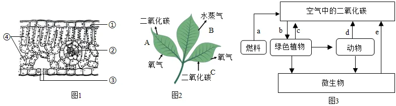 题目插图