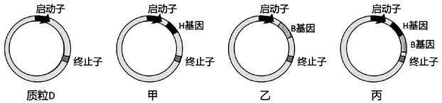 题目插图