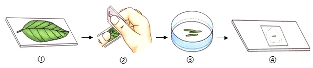 题目插图