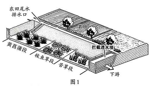 题目插图