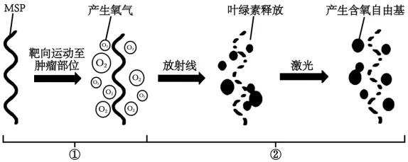 题目插图