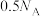 选项图