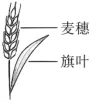 题目插图