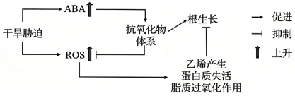 题目插图