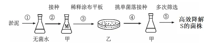 题目插图