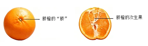 题目插图